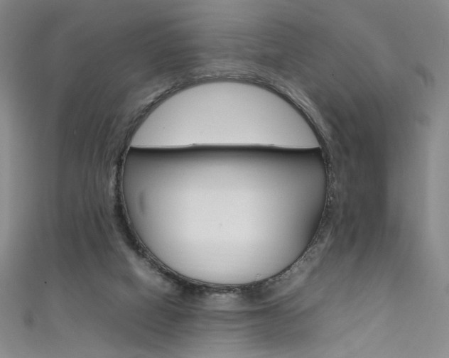 X0000111490066200907141112