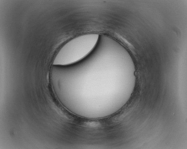 X0000111490067200907141112