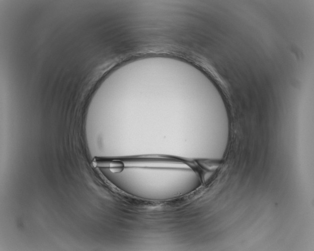 X0000111490068200907141112