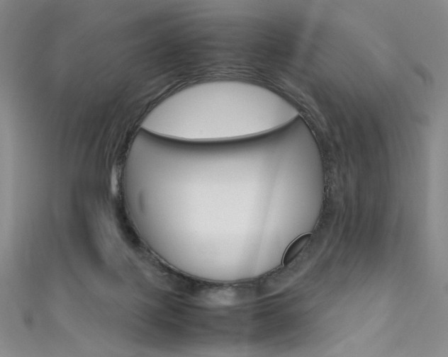 X0000111490075200907141112