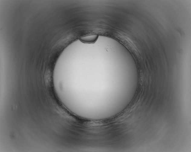 X0000111490077200907141112