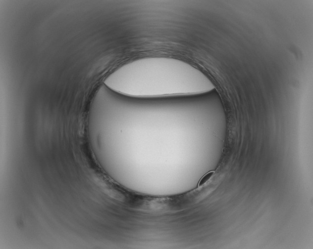 X0000111490078200907141112