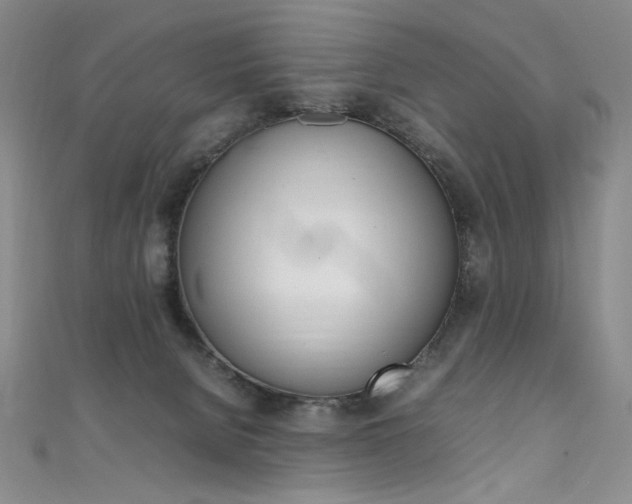 X0000111490080200907141112