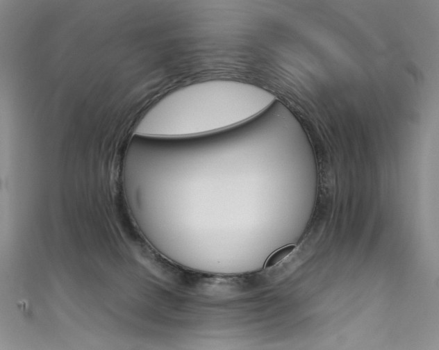 X0000111490082200907141112
