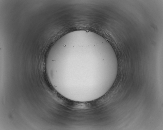 X0000111490083200907141112