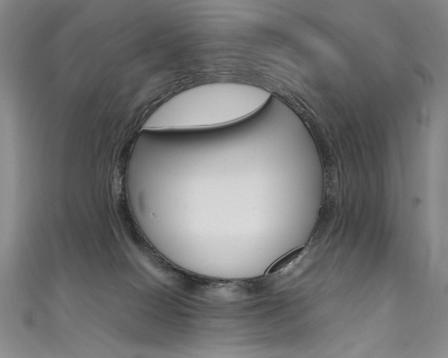 X0000111490086200907141112