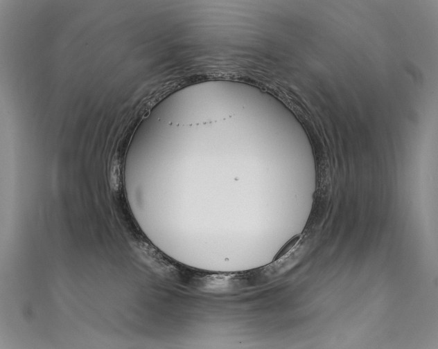 X0000111490090200907141112