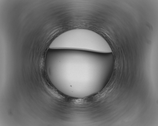 X0000111490092200907141112