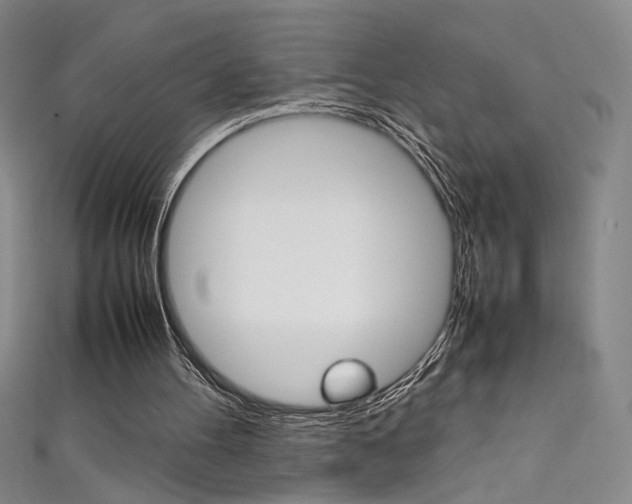 X0000111490100200907141112