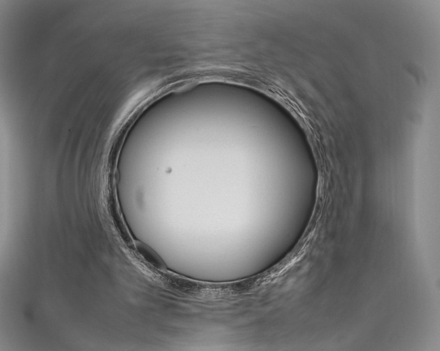 X0000111490101200907141112