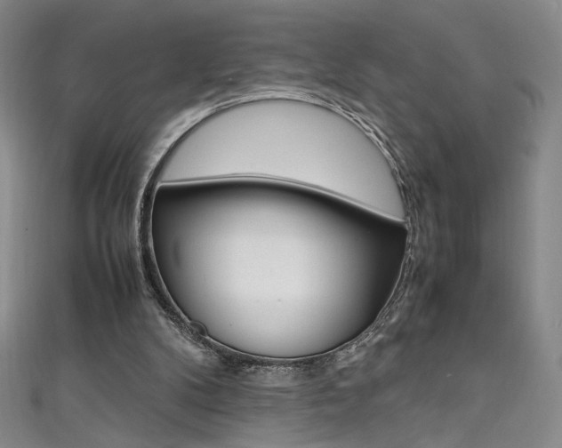 X0000111490104200907141111