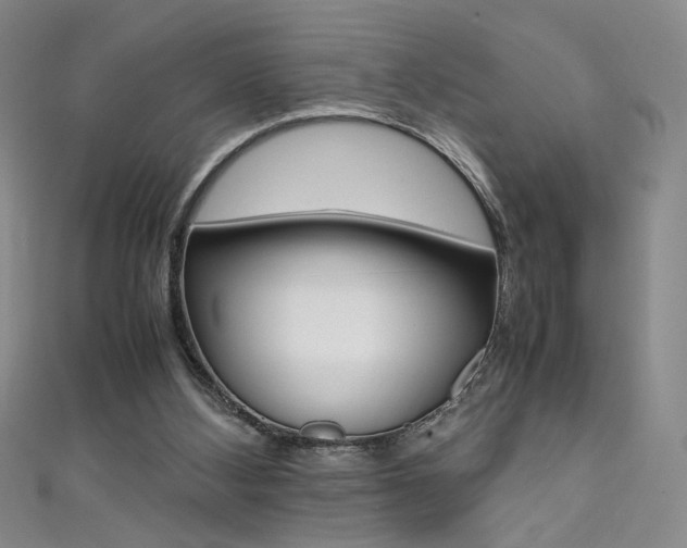 X0000111490108200907141111