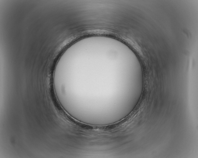 X0000111490111200907141111