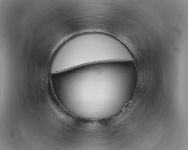 X0000111490112200907141111