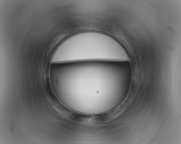 X0000111490116200907141111