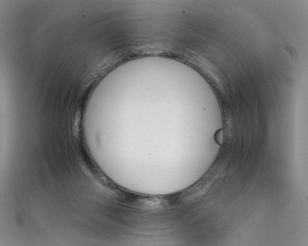 X0000111490118200907141111