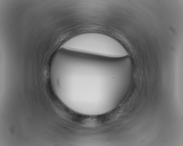 X0000111490119200907141111