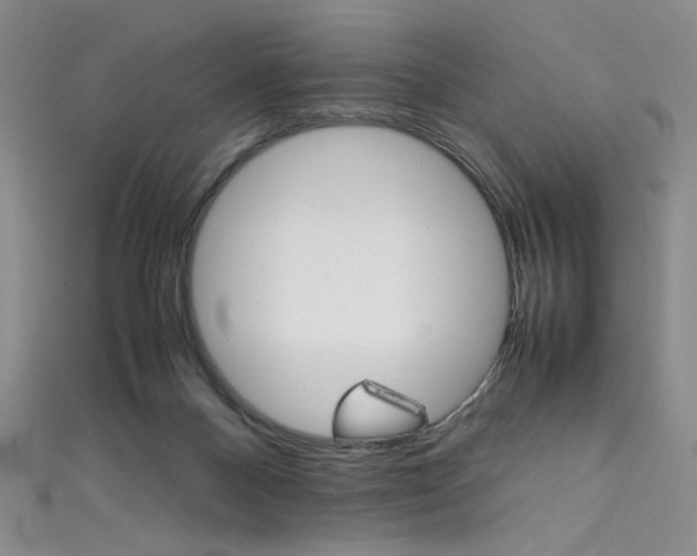 X0000111490120200907141111