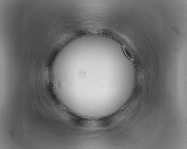X0000111490121200907141111
