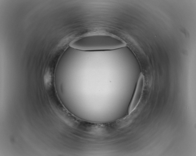 X0000111490124200907141111