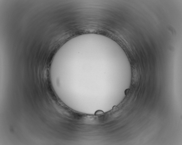 X0000111490126200907141111