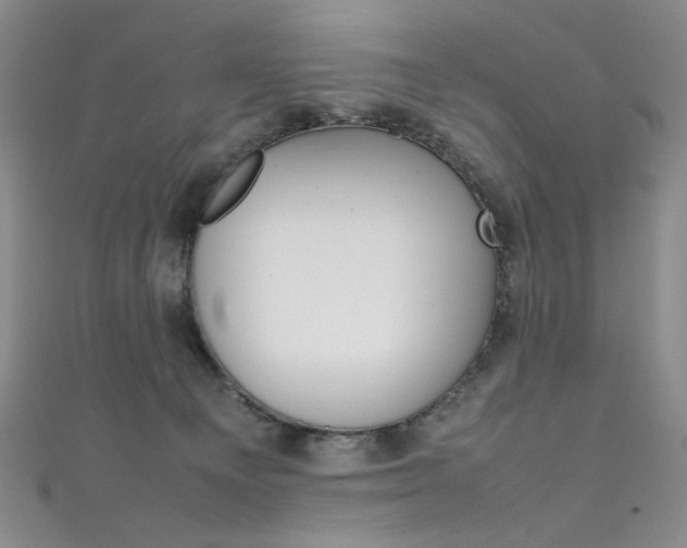 X0000111490129200907141111