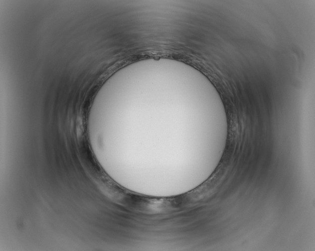 X0000111490130200907141111