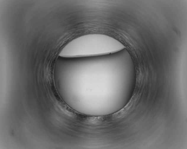 X0000111490136200907141111