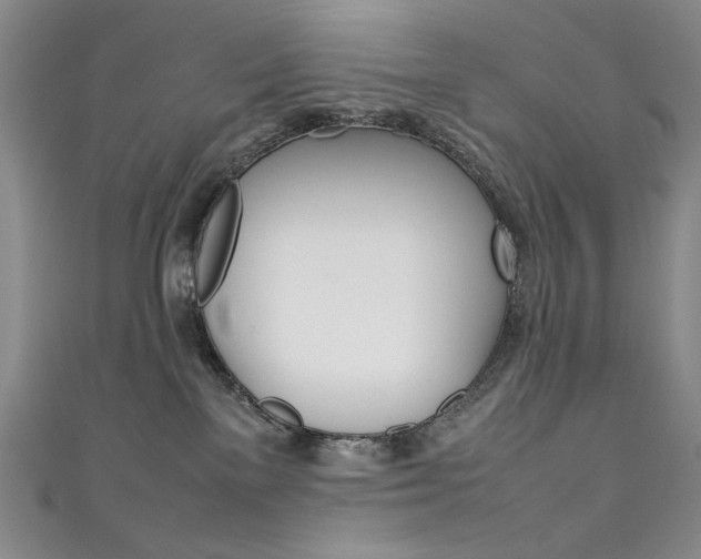 X0000111490137200907141111
