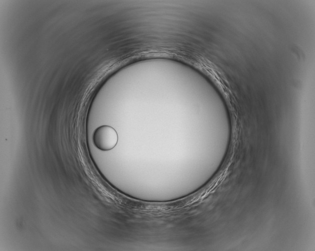 X0000111490145200907141110