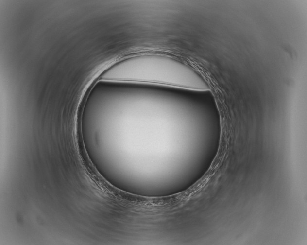 X0000111490148200907141110