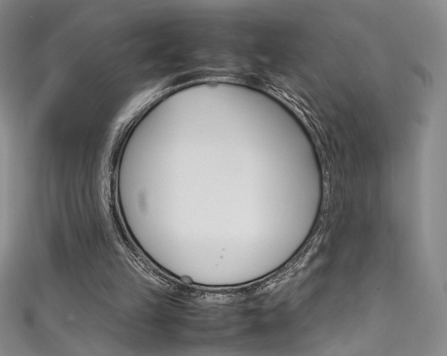 X0000111490149200907141110