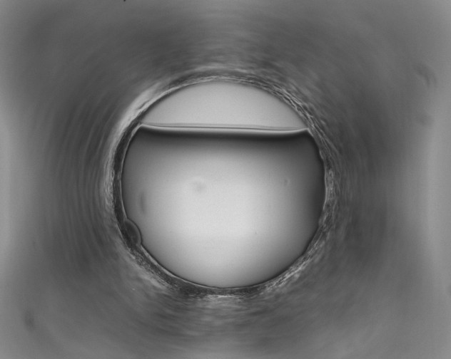 X0000111490150200907141110