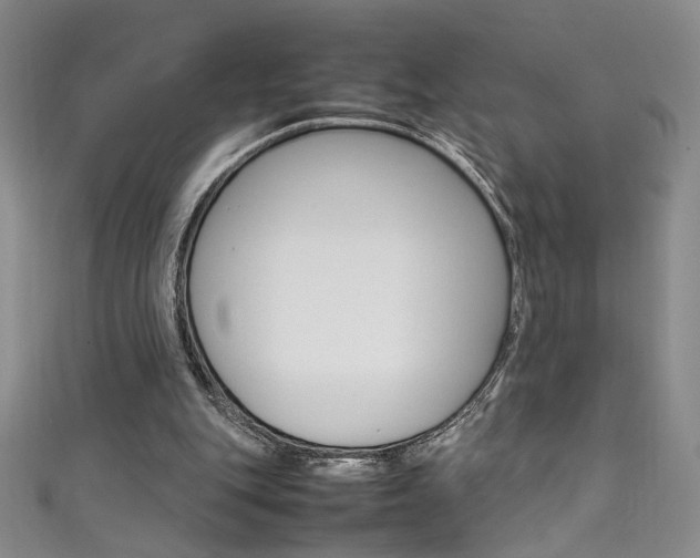 X0000111490151200907141110