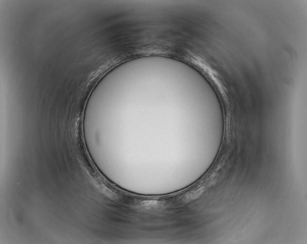 X0000111490153200907141110