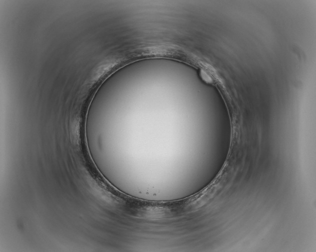 X0000111490154200907141110