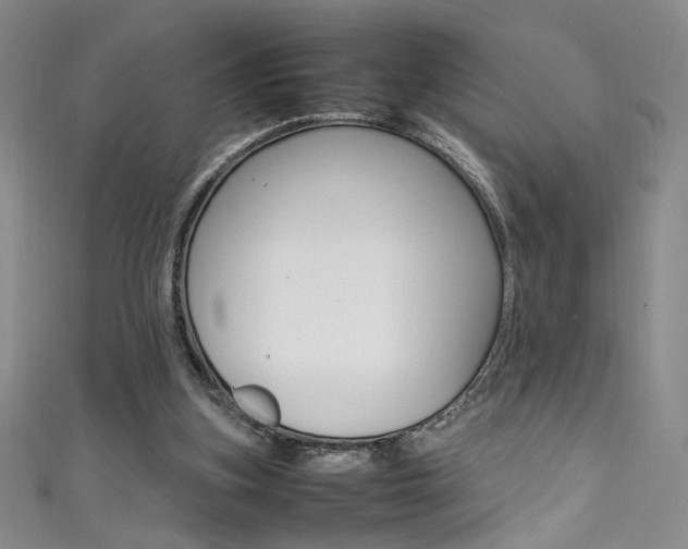 X0000111490155200907141110