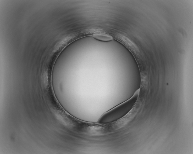 X0000111490158200907141111