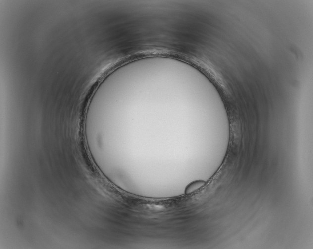 X0000111490159200907141111