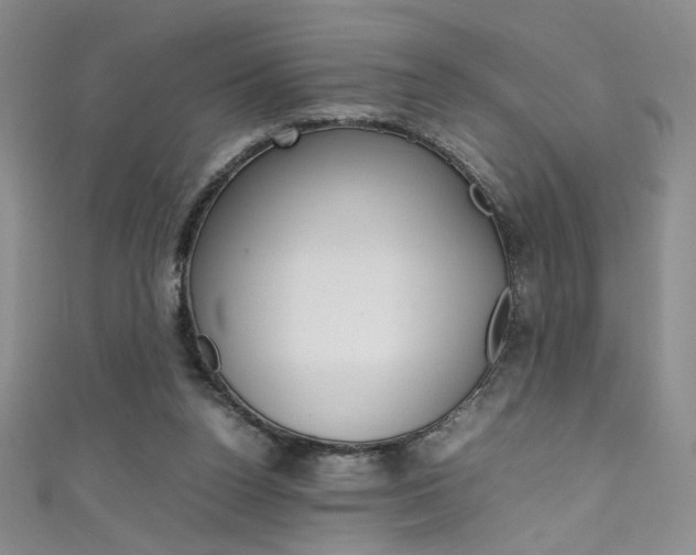 X0000111490160200907141111