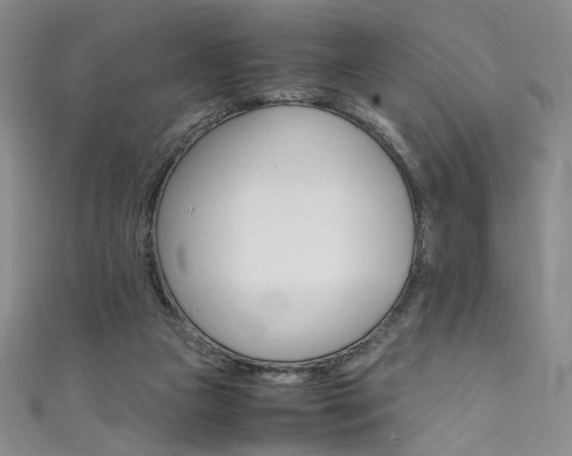 X0000111490161200907141111