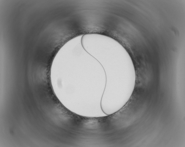 X0000111490162200907141111