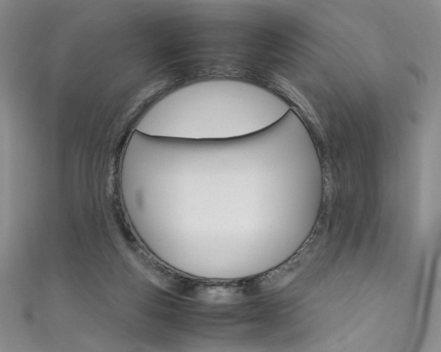 X0000111490163200907141111