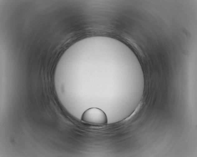 X0000111490170200907141111