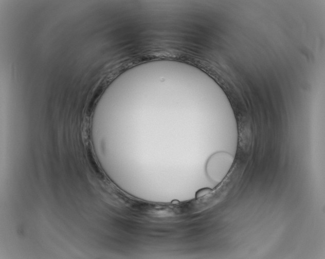 X0000111490175200907141111
