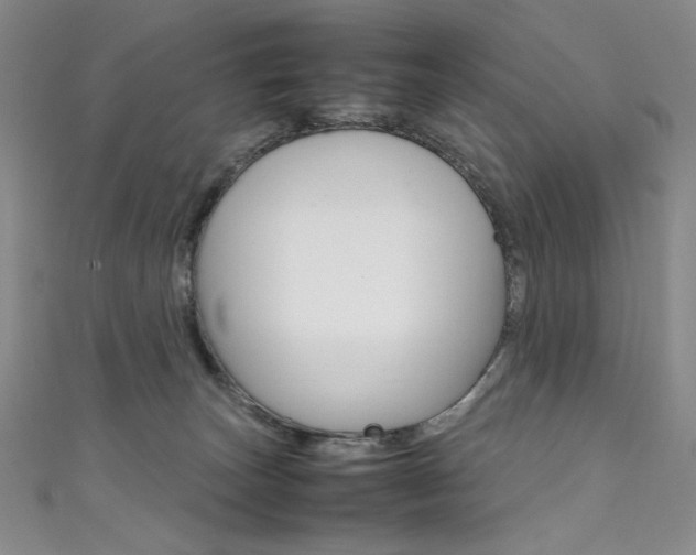 X0000111490179200907141111