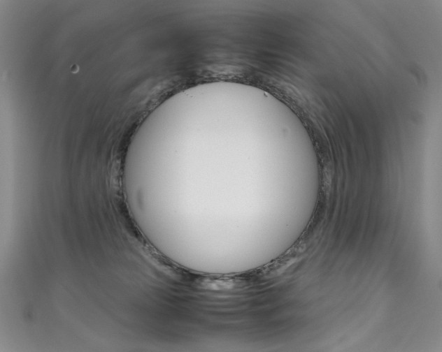 X0000111490181200907141111