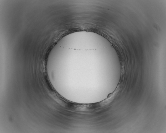 X0000111490182200907141111