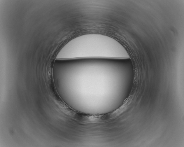 X0000111490184200907141111