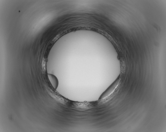 X0000111490191200907141111